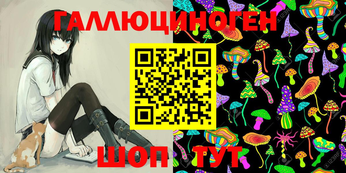 Галлюциногенные грибы Cubensis Конаково